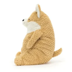 Amore Corgi Discount