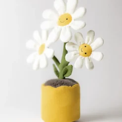 Amuseables Daisy Outlet