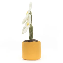 Amuseables Daisy Outlet