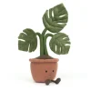 Amuseables Monstera Plant Outlet