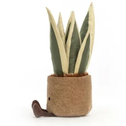 Amuseables Snake Plant Discount
