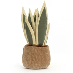Amuseables Snake Plant Discount