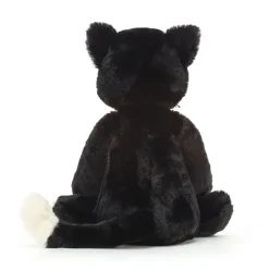 Bashful Black Kitten