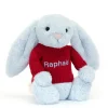 Bashful Blue Bunny with Personalised Red Jumper Hot