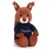 Bashful Squirrel with Personalised Navy Jumper New