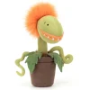 Carniflore Tammie Clearance