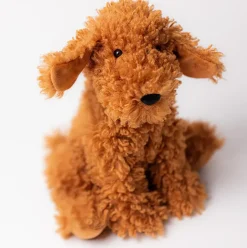 Cooper Doodle Dog New