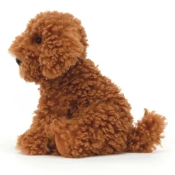 Cooper Doodle Dog New