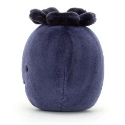 Fabulous Fruit Blueberry