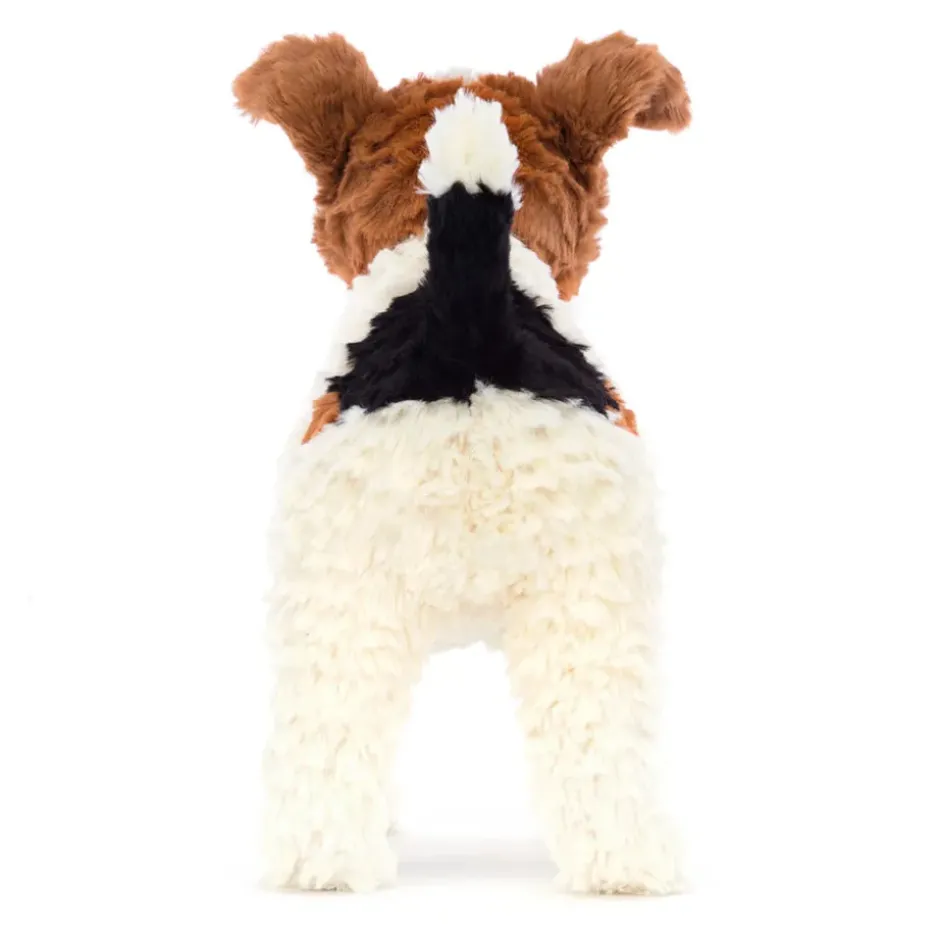 Hector Fox Terrier Sale