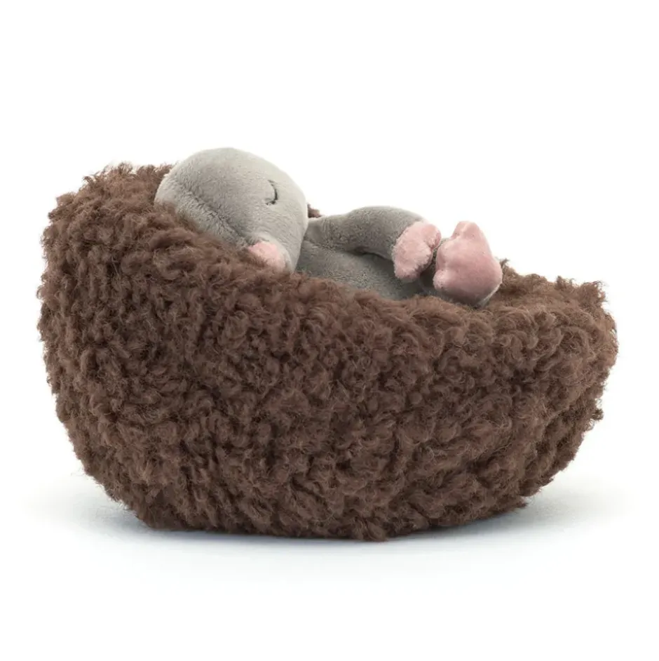 Hibernating Mole