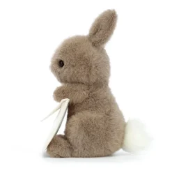 Messenger Bunny New