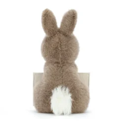 Messenger Bunny New