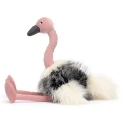 Ramonda Ostrich Best