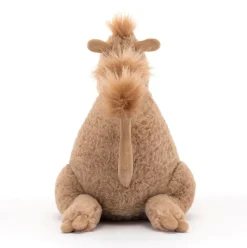 Richie Dromedary Sale