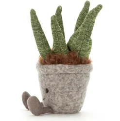 Silly Succulent Aloe