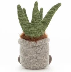 Silly Succulent Aloe