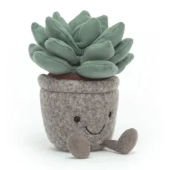 Silly Succulent Azulita Hot