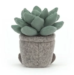 Silly Succulent Azulita Hot