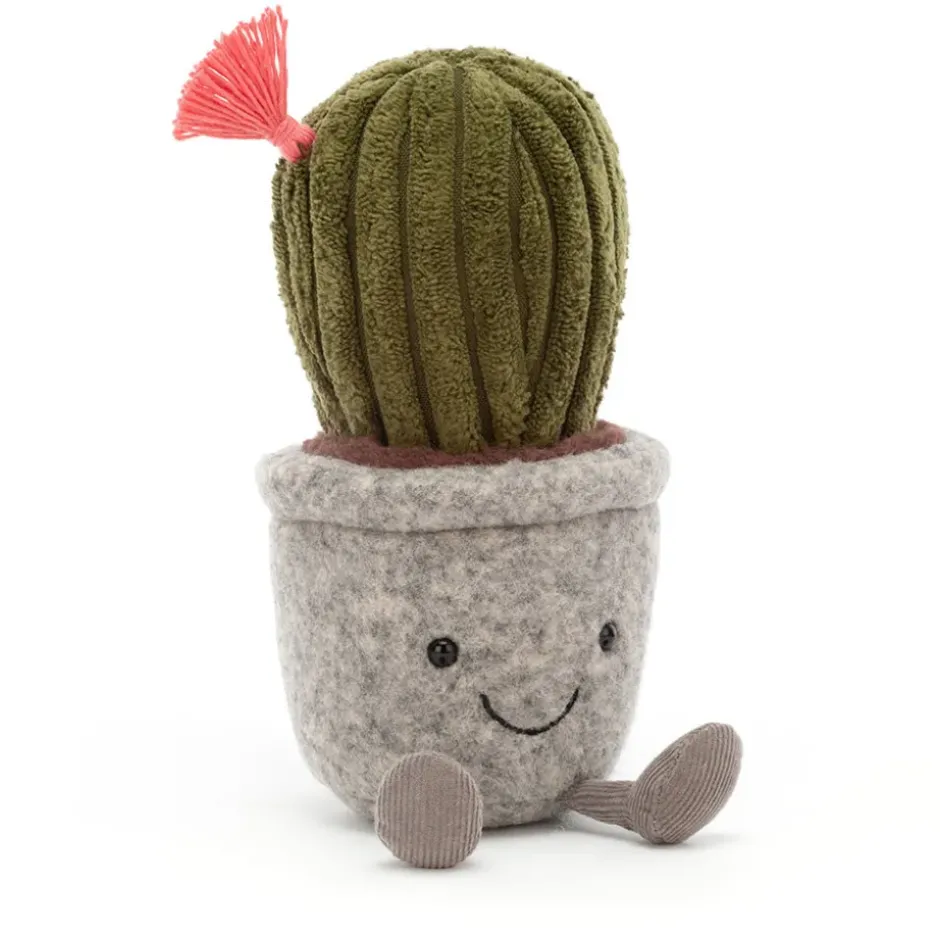 Silly Succulent Barrel Cactus Discount