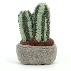Silly Succulent Columnar Cactus Online