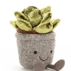 Silly Succulent Jade Hot