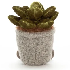 Silly Succulent Jade Hot