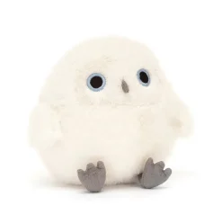 Snowy Owling New