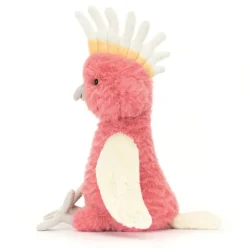 Squawkatoo Clearance