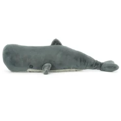 Sullivan the Sperm Whale Outlet