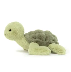 Tully Turtle Outlet
