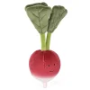 Vivacious Vegetable Radish Online
